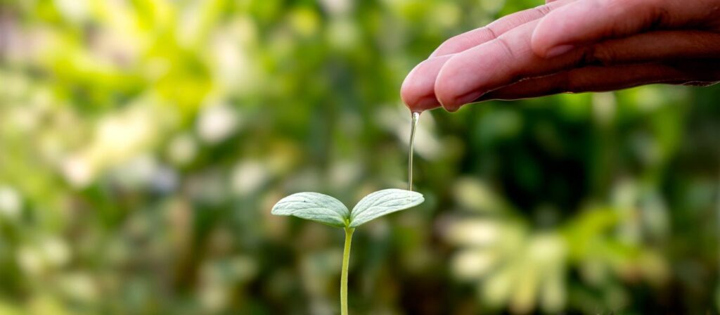 Permaculture Environment and Knowledge Solutions